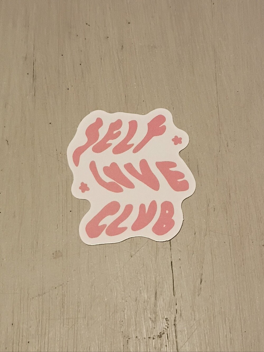 10/$10 Sticker Decal - Self Love Club - Pink  Text - Heart & Stars - Brand New